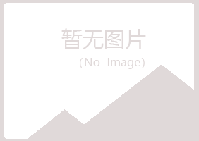 嘉黎县曼山化学有限公司